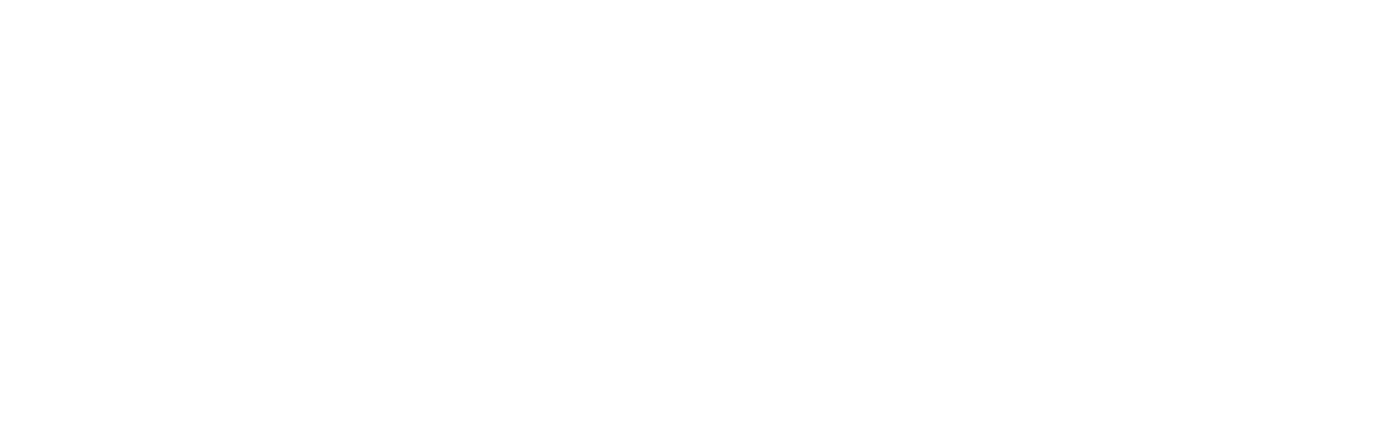 DLP Capital