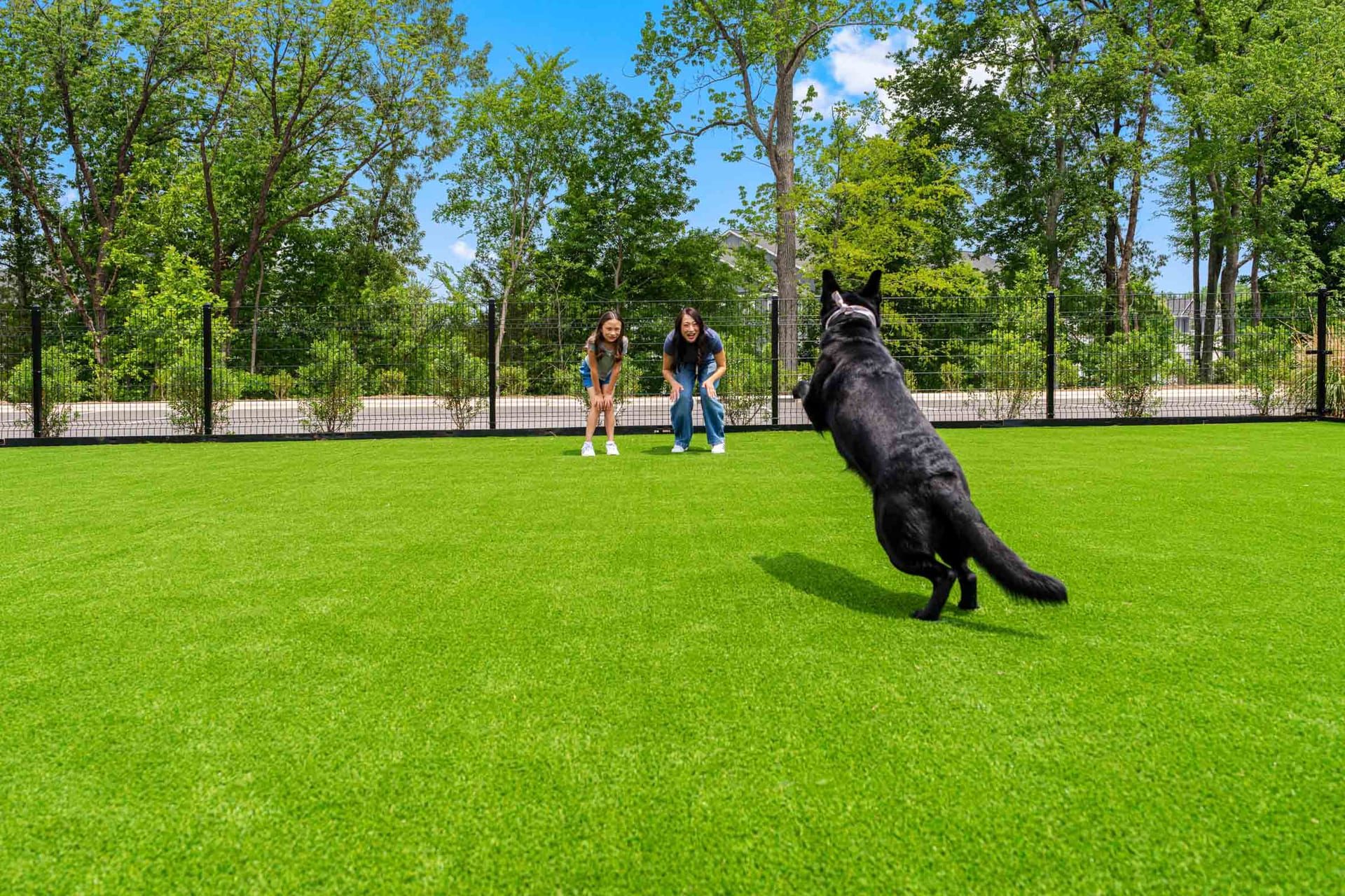Bainbridge Mallard Creek Charlotte, NC — property exterior aerial photography by Delray Drones