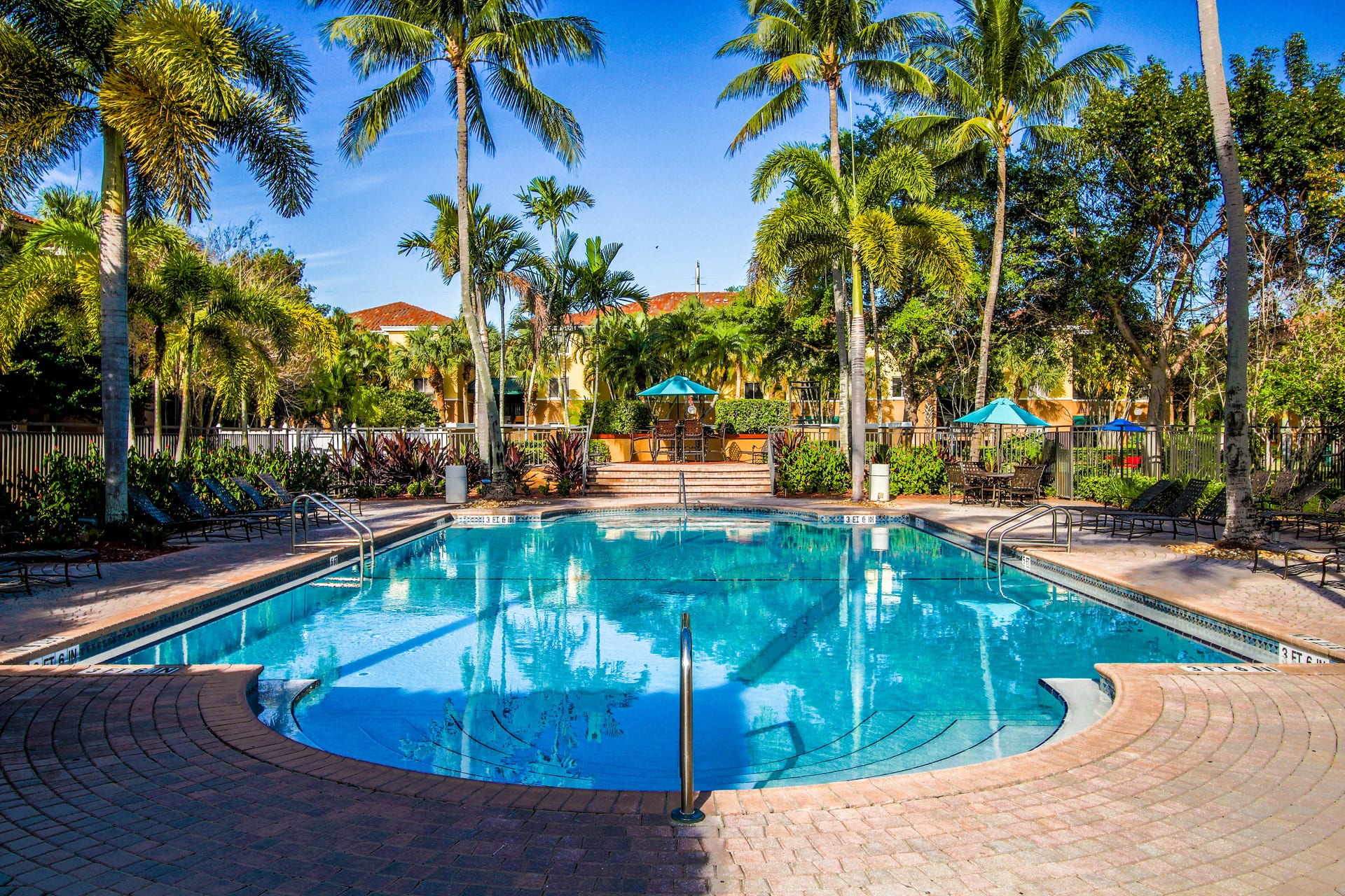 Coconut Palm Club — image 1