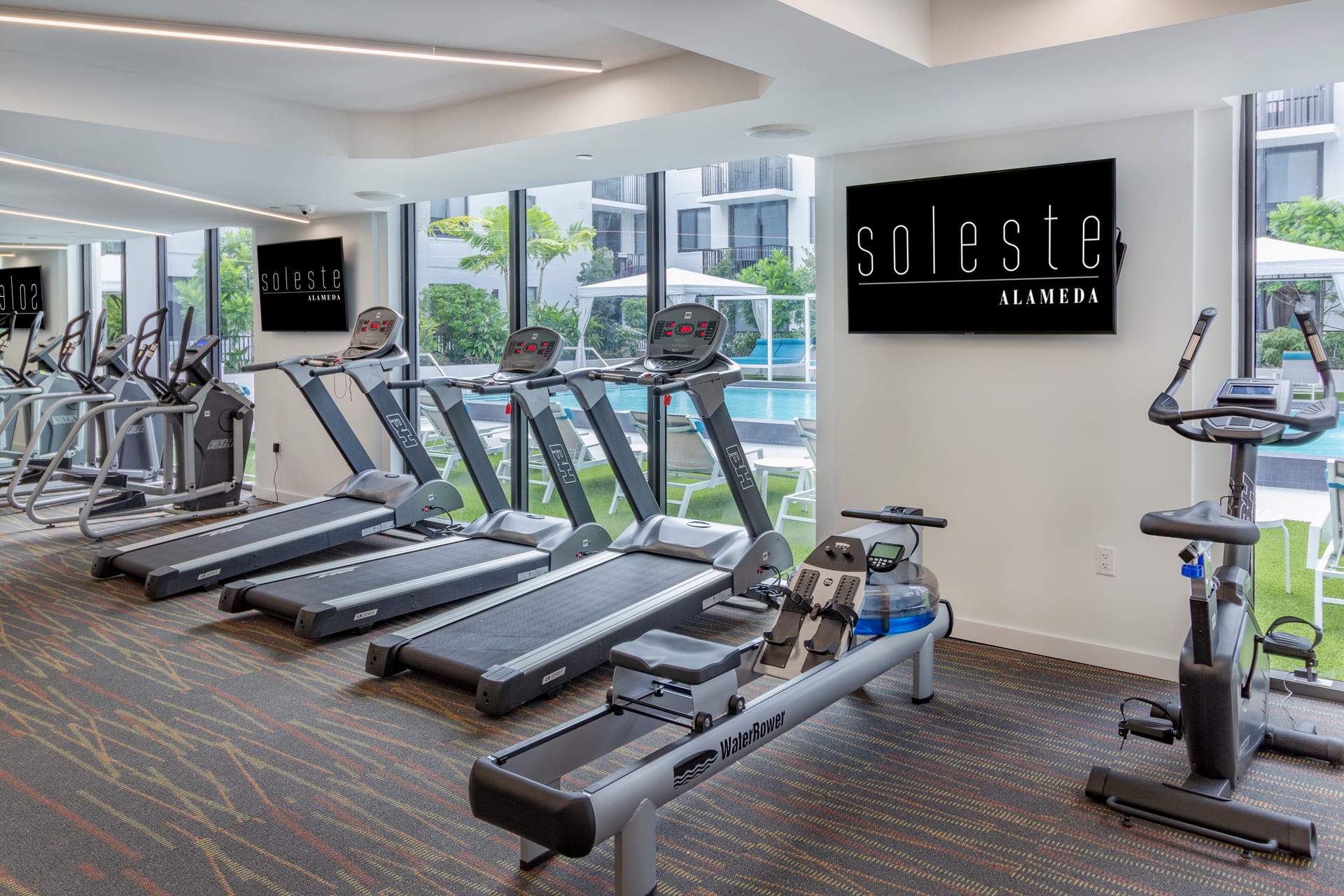 Soleste Alameda — image 1