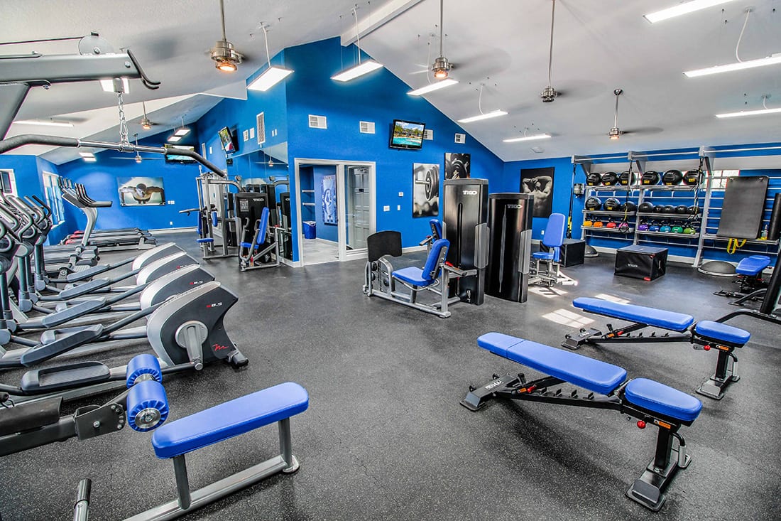 The Niche — image 2