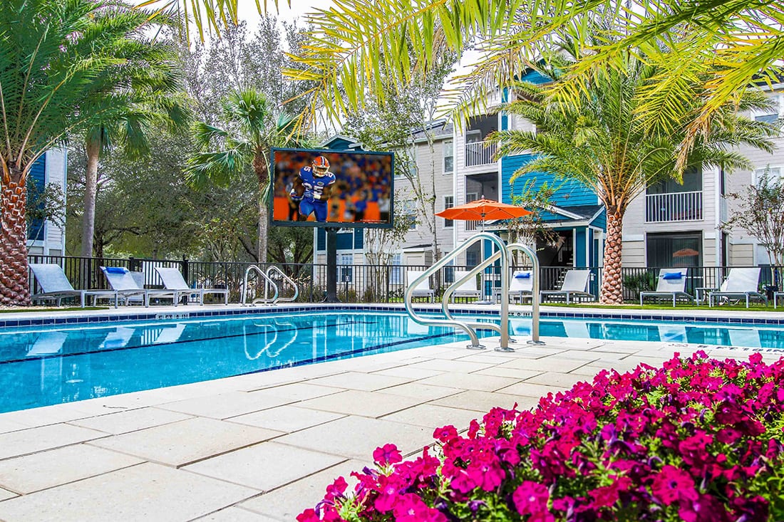 The Niche — image 7